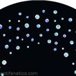 Optikinetics 6" Abstract Wheel: Bubble (Coloured)