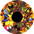Optikinetics 6" Wheel: Butterflies